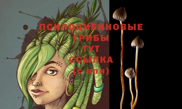 герыч Алексеевка