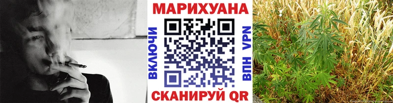 Бошки Шишки OG Kush  где можно купить   Пласт 